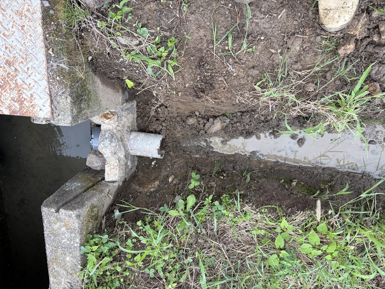 畑から水路へ出ている排水口と、その手前に深く掘った溝。溝には濁った水が溜まったままになっている